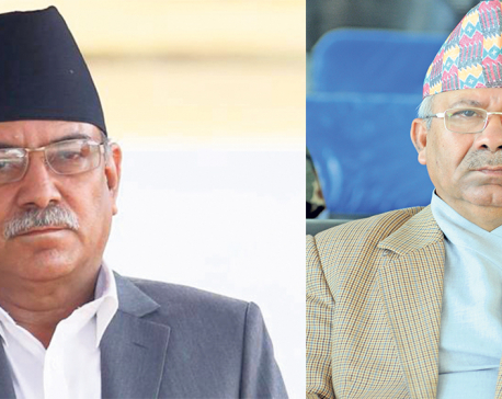 Unified Socialist chief Nepal meets PM Dahal