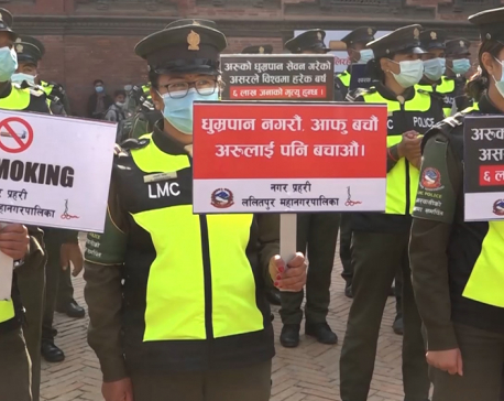 Patan Durbar Square, Jawlakhel, and Pulchowk declared no-smoking zones