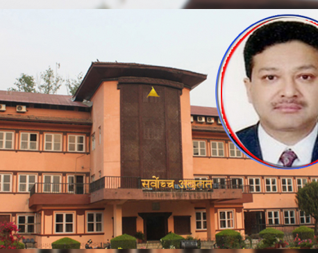 PHC calls for registration of complaints against proposed Supreme Court Justice Shrestha