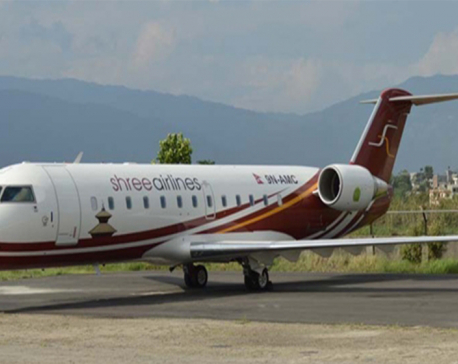 Shree Airlines plane makes emergency landing after engine fail