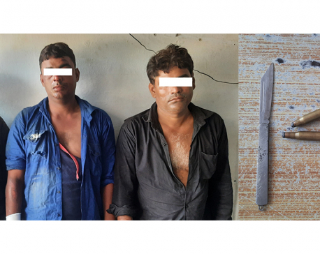 Three Indian nationals arrested with weapons