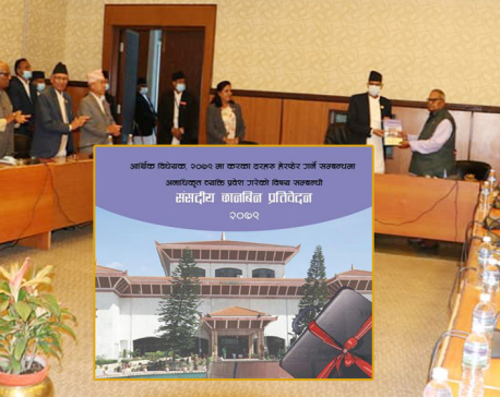 Parliamentary probe committee concludes there was no involvement of unauthorized persons in the preparation of budget
