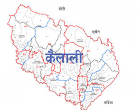 Election deposits of nine candidates, including one from UML, confiscated in Kailali-1