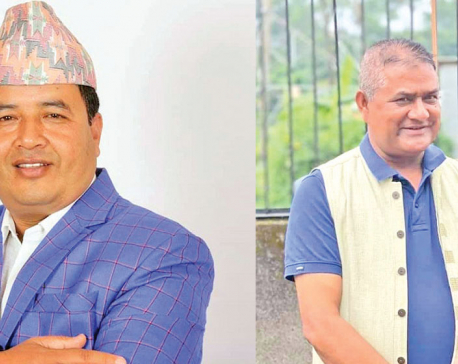 NC candidate Thapa wins from Bhaktapur 2