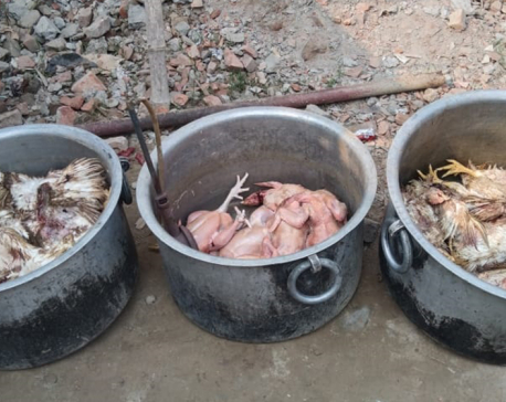 One and a half quintal of meat, which was going to be distributed to voters, was seized