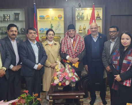 Reviving economy is govt's first priority: PM Dahal
