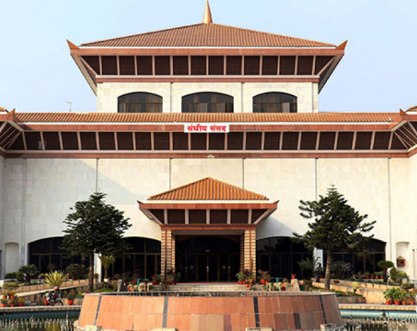 Parliamentary committee discusses Nepal University Bill