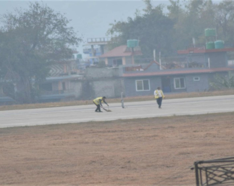 Pokhara International Airport has high risk of plane colliding with birds