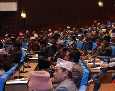 HoR session: Lawmakers draw government's attention on various issues