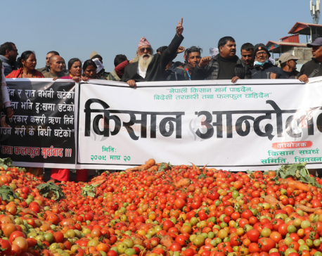 Farmers of Chitwan stage protest by throwing vegetables on the road