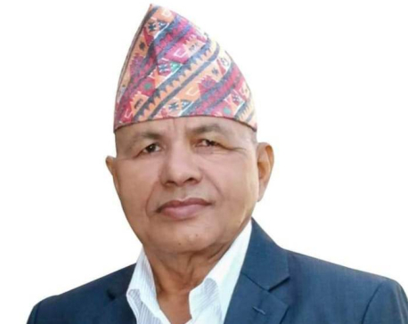 Nepal Constitution a model for rest of the world: CM Giri