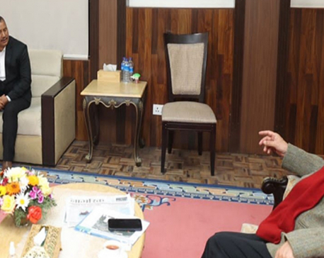 PM Dahal meets CPN leader Chand