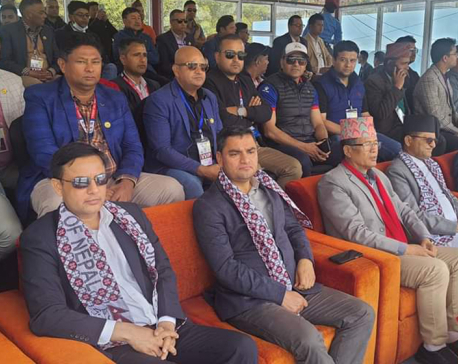 Cricket craze among leaders: Crowd of leaders in VVIP parapet