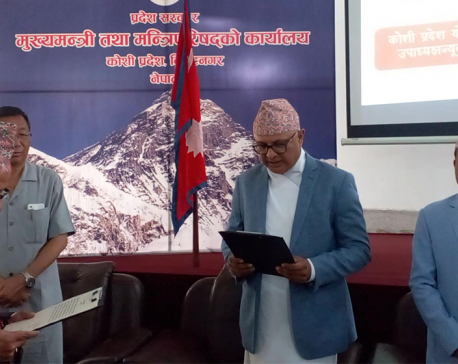 Vice-chairman of Koshi Province Planning Commission takes oath
