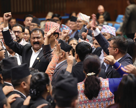 Three opposition parties protest against Citizenship Bill