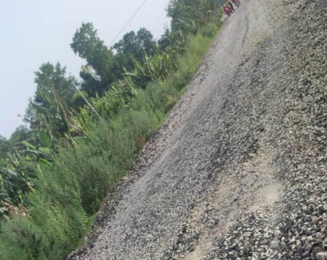 Tikapur Planning Branch Chief Joshi faces action for unauthorized road repair