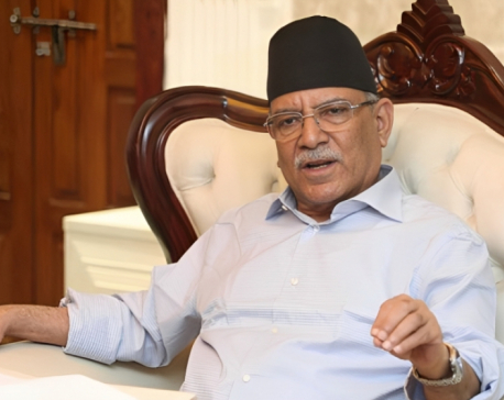 PM Dahal directs party lawmakers to play effective role in parliament