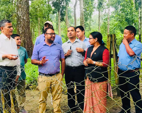 Preparation for black-topping road inside Chitwan National Park