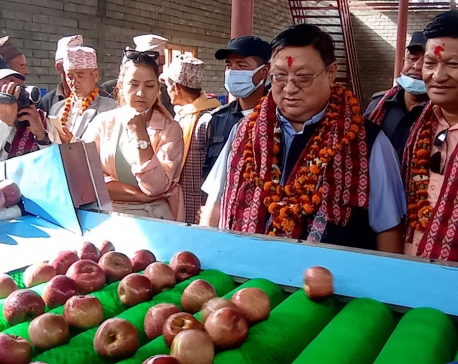 Jumla gets its first apple processing and grading machine