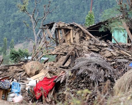Govt estimates building temporary housing in quake-affected districts to cost Rs 5 billion