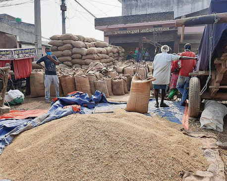 Govt to purchase paddy worth Rs 2 billion from farmers