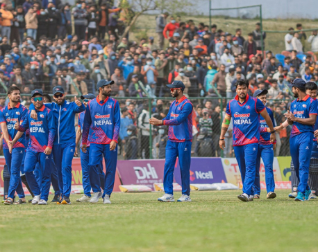 T20I Series: The Netherlands advance to final alongside Nepal