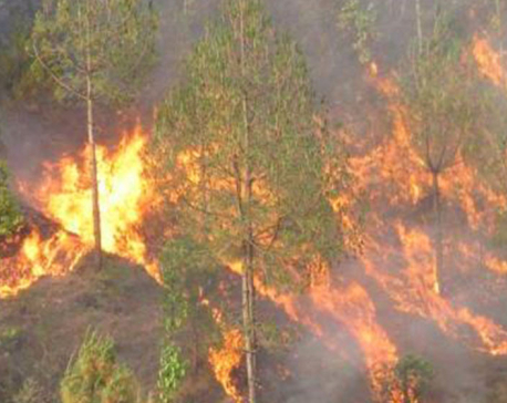 Forest fires reported in various community forests of Myagdi