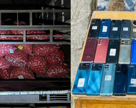 APF seizes illegally imported 152 sacks of onions and 32 units of mobile phones from Dhansuha