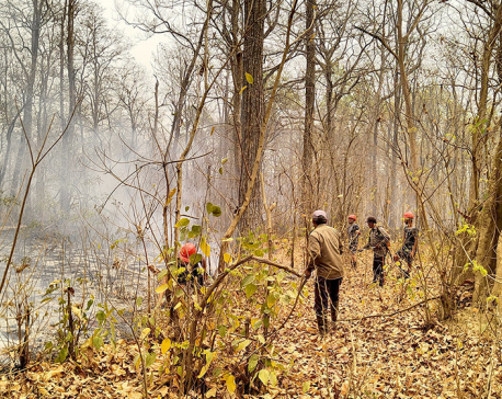 Over 5,000 hectares of forest burning in Banke