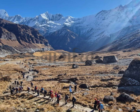 Majority of foreign tourists entering Nepal falls within the age group of 31 to 45 years: Tourism ministry data