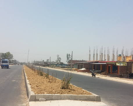 Nepalgunj-Gulariya road section: 65 percent of work completed