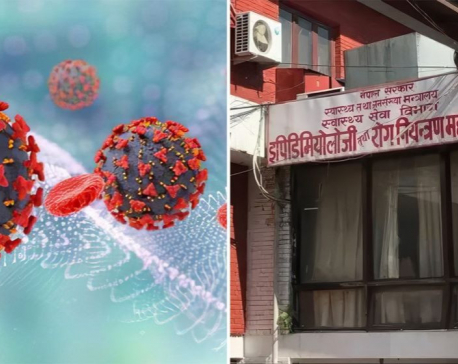 Nepal at high risk of Chandipura virus