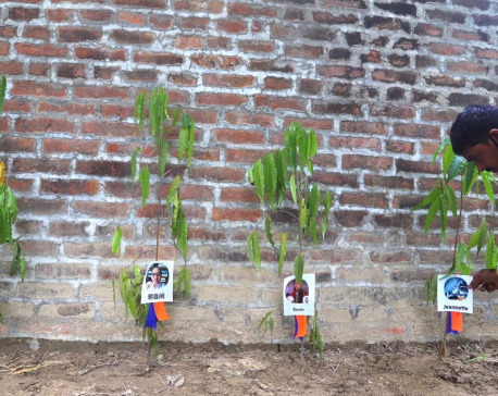 1000 Ashoka trees planted in Lumbini