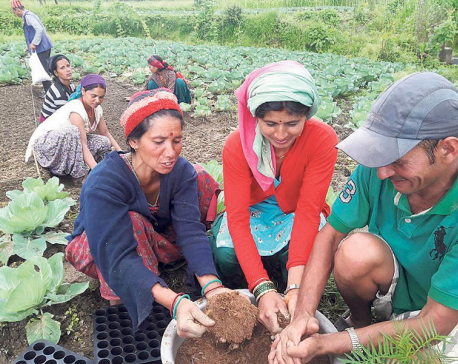 Modern farming changing women's economic status