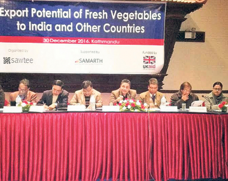 Vegetable export potential largely unexploited