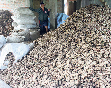 Ginger export to India affected yet again