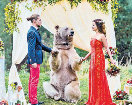 A bear acted as priest at bizarre wedding ceremony