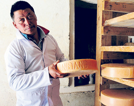 Cheese production resumes in Langtang