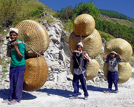 Plastic use threatens environment friendly bamboo items