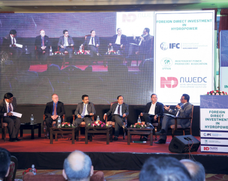 Experts highlight the need for more FDI in hydropower