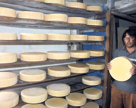 Demand for cheese surges