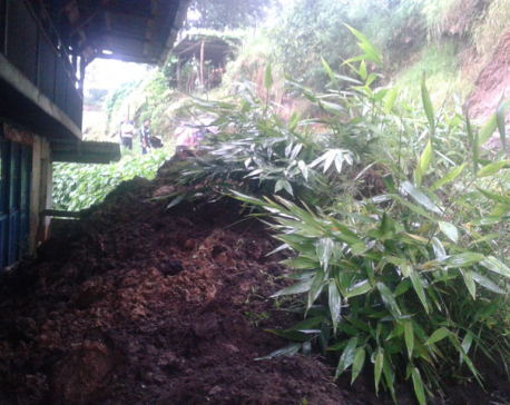 One killed in Taplejung landslide,  dozens displaced