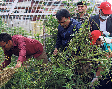 Minister Sripali leads stadium cleanup campaign