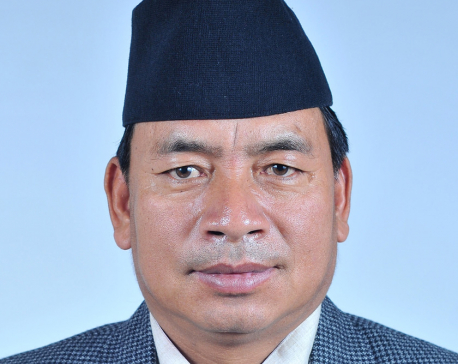 Veep  Pun thanks Nepali people for making local polls a success