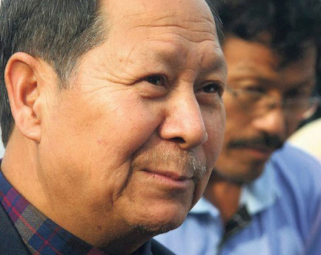Government change at India's behest: Bijukchhe
