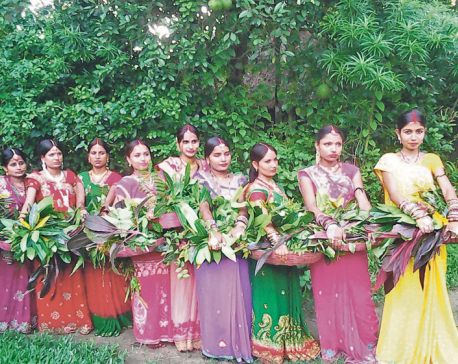 Women in Mithila celebrating Madhushravani