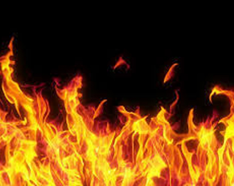 Property worth Rs 1.2 m destroyed as plastic factory catches fire in Balaju