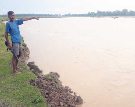 Land erosion continues in Kailali