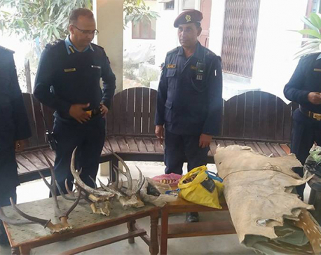 Police confiscate weapons and wildlife parts from forest guard's house