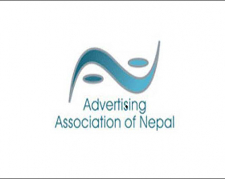 'Clean Feed' will double turnover of ad industry: AAN